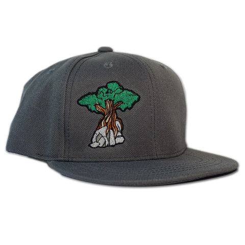 Juniper Tree - Youth Snapback Hat - Charcoal Grey