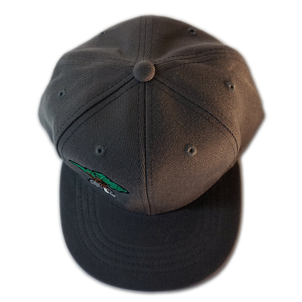 Juniper Tree - Youth Snapback Hat - Charcoal Grey