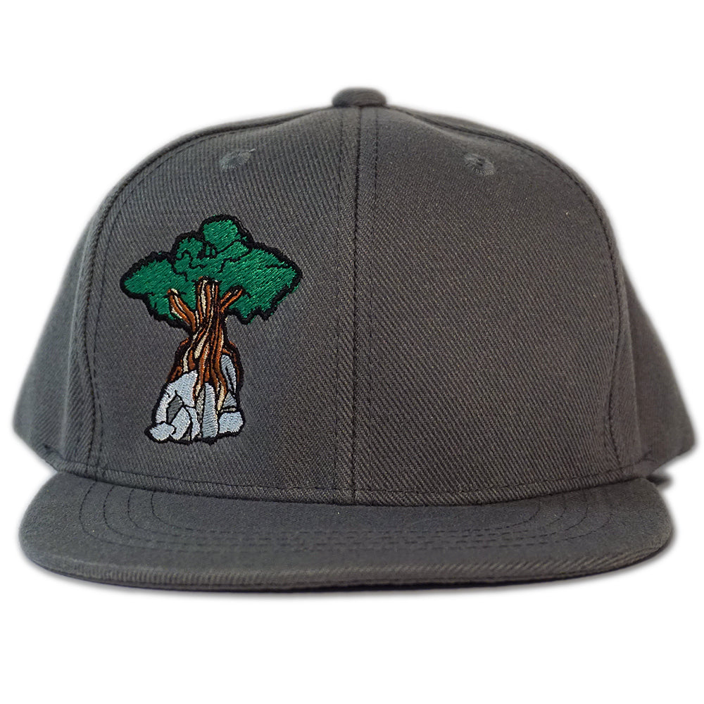 Juniper Tree - Youth Snapback Hat - Charcoal Grey